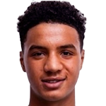 player-logo