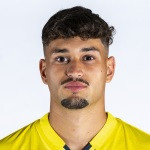 player-logo