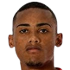player-logo