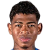 player-logo