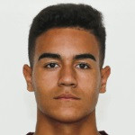 player-logo
