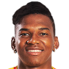 player-logo