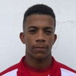 player-logo