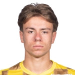 player-logo