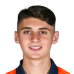 player-logo