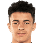 player-logo