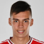 player-logo