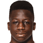player-logo