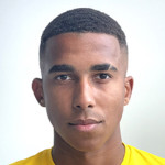 player-logo