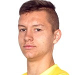 Патрик Швецик