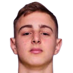 player-logo