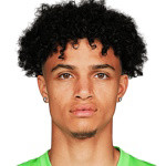 player-logo