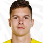 player-logo