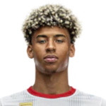 player-logo