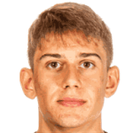 player-logo