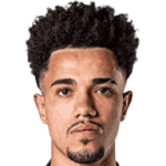 player-logo