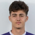 player-logo