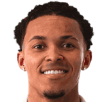player-logo