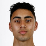 player-logo