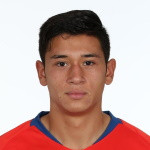 player-logo