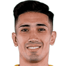 player-logo