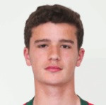 player-logo
