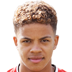 player-logo