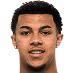 player-logo