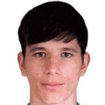 player-logo