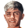 player-logo