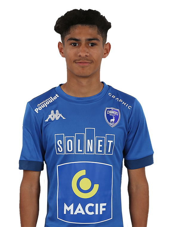 player-logo