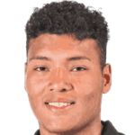 player-logo