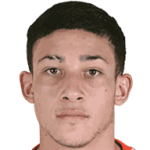 player-logo