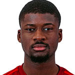 player-logo
