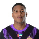 player-logo