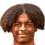 player-logo