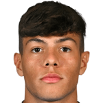 player-logo