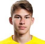 player-logo