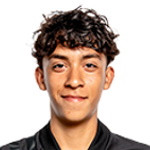 player-logo
