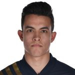 player-logo