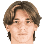 player-logo