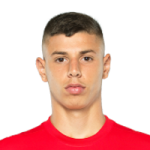 player-logo