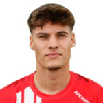 player-logo