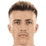 player-logo