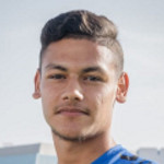 player-logo