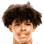 player-logo