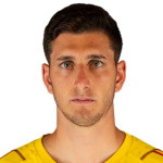 player-logo