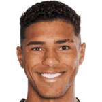 player-logo