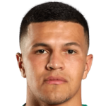 player-logo