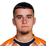 player-logo